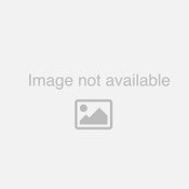 3M 405 Scrubbing Pad Holder